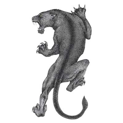 Grey Ink Angry Panther Design Water Transfer Temporary Tattoo(fake Tattoo) Stickers NO.11408